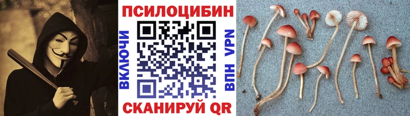 Псилоцибиновые грибы Magic Shrooms  Старый Оскол 